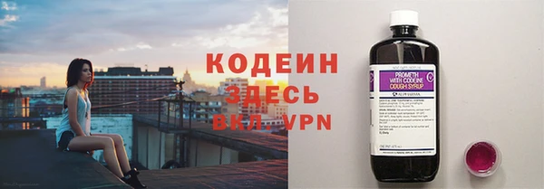 эйфоретик Алзамай